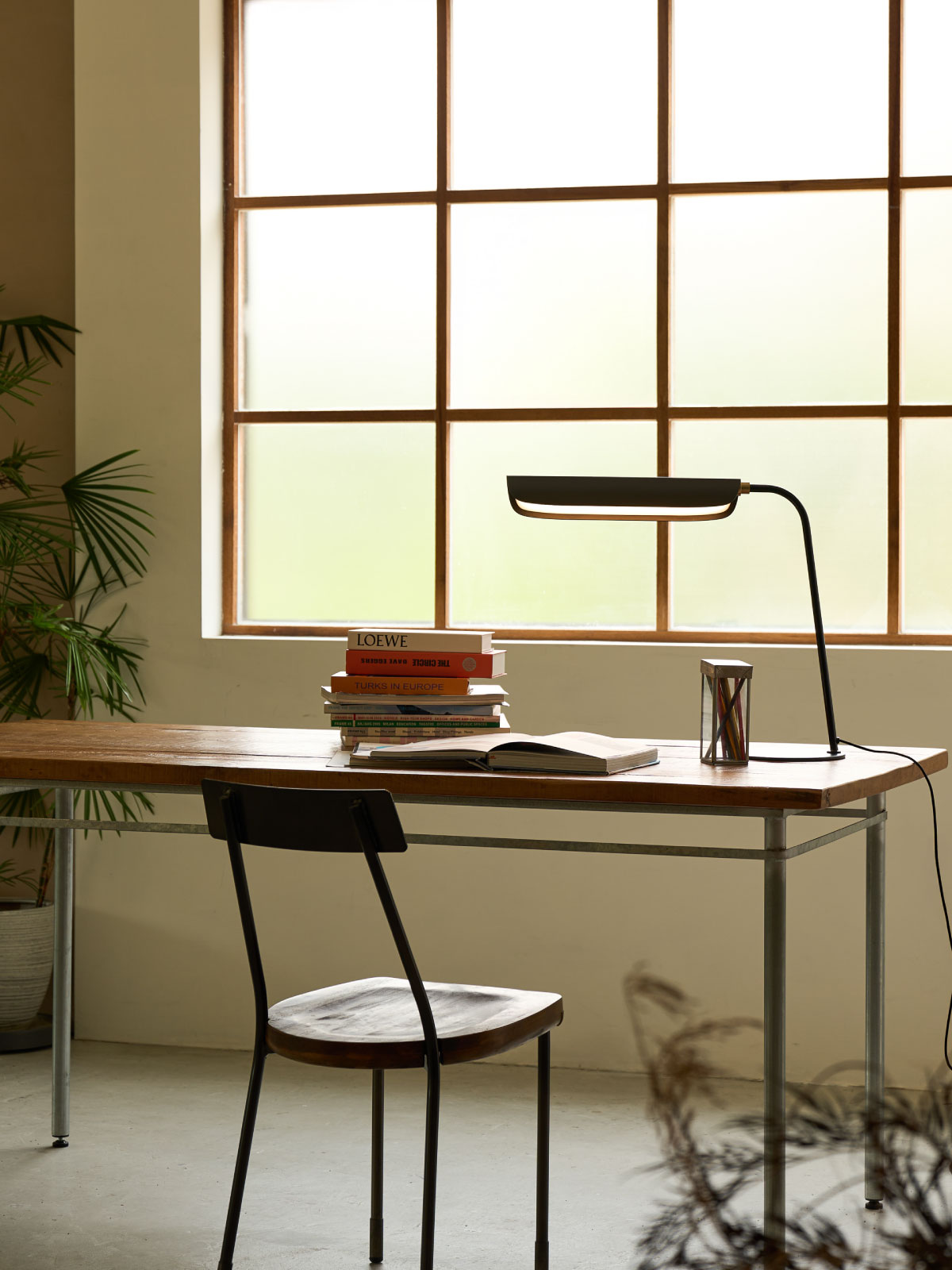 News FLO新品大文 7