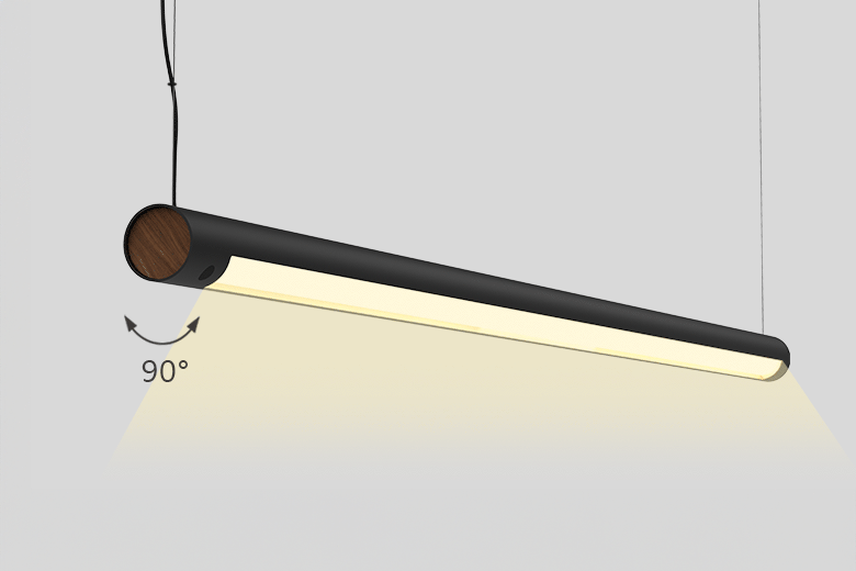 PD features01 Turner 1